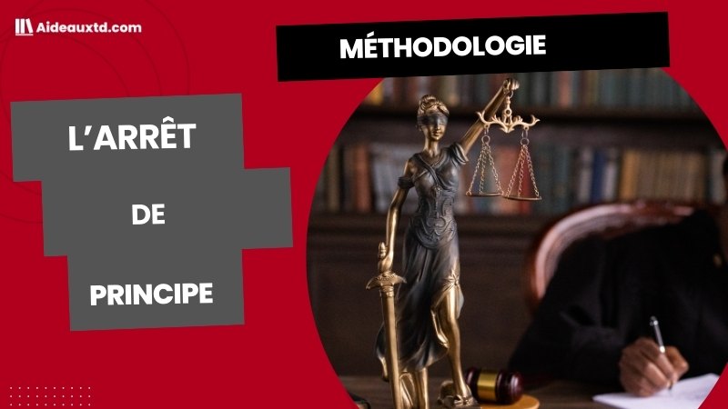 Méthodologie juridique : méthode des exercices (Droit)