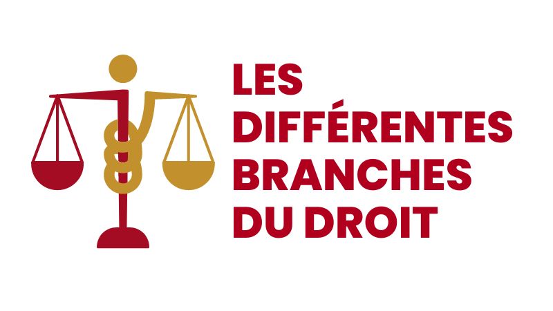 Les branches du Droit