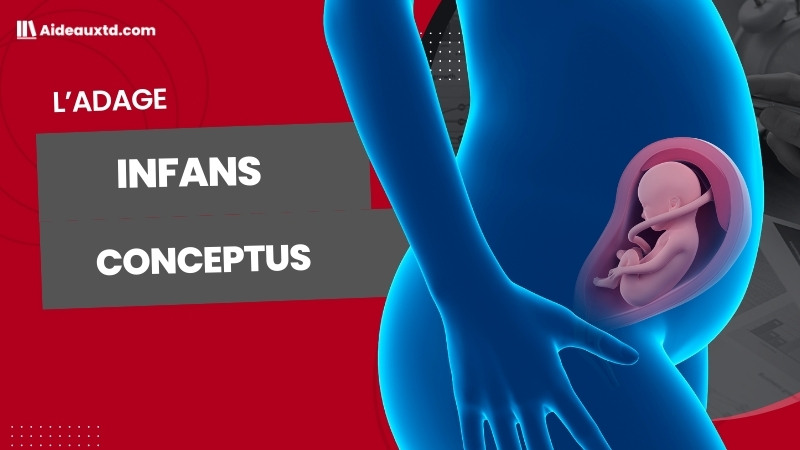 L’infans conceptus : définition, conditions, effets