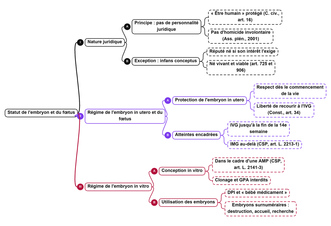 Carte mentale sur le statut juridique de l’embryon et du fœtus : nature juridique, régime in utero, régime in vitro