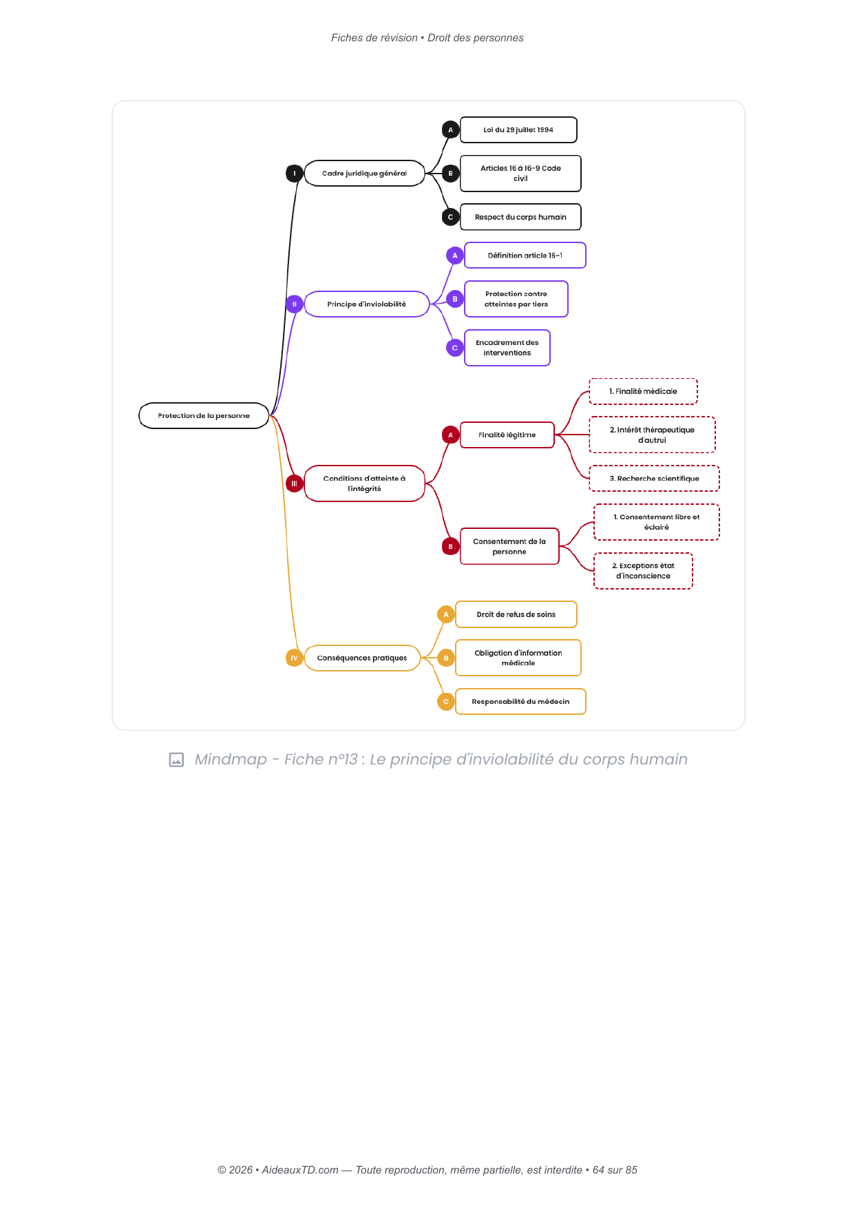Fiches de révision — Droit des personnes