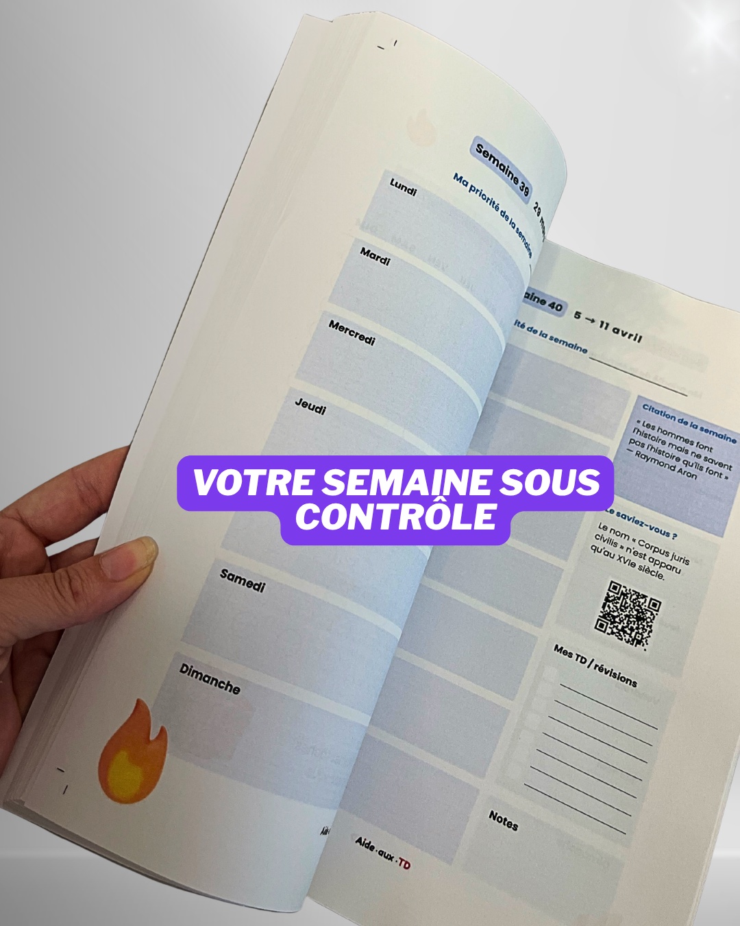 Semainier du Planner du juriste pour planifier ses TD et révisions