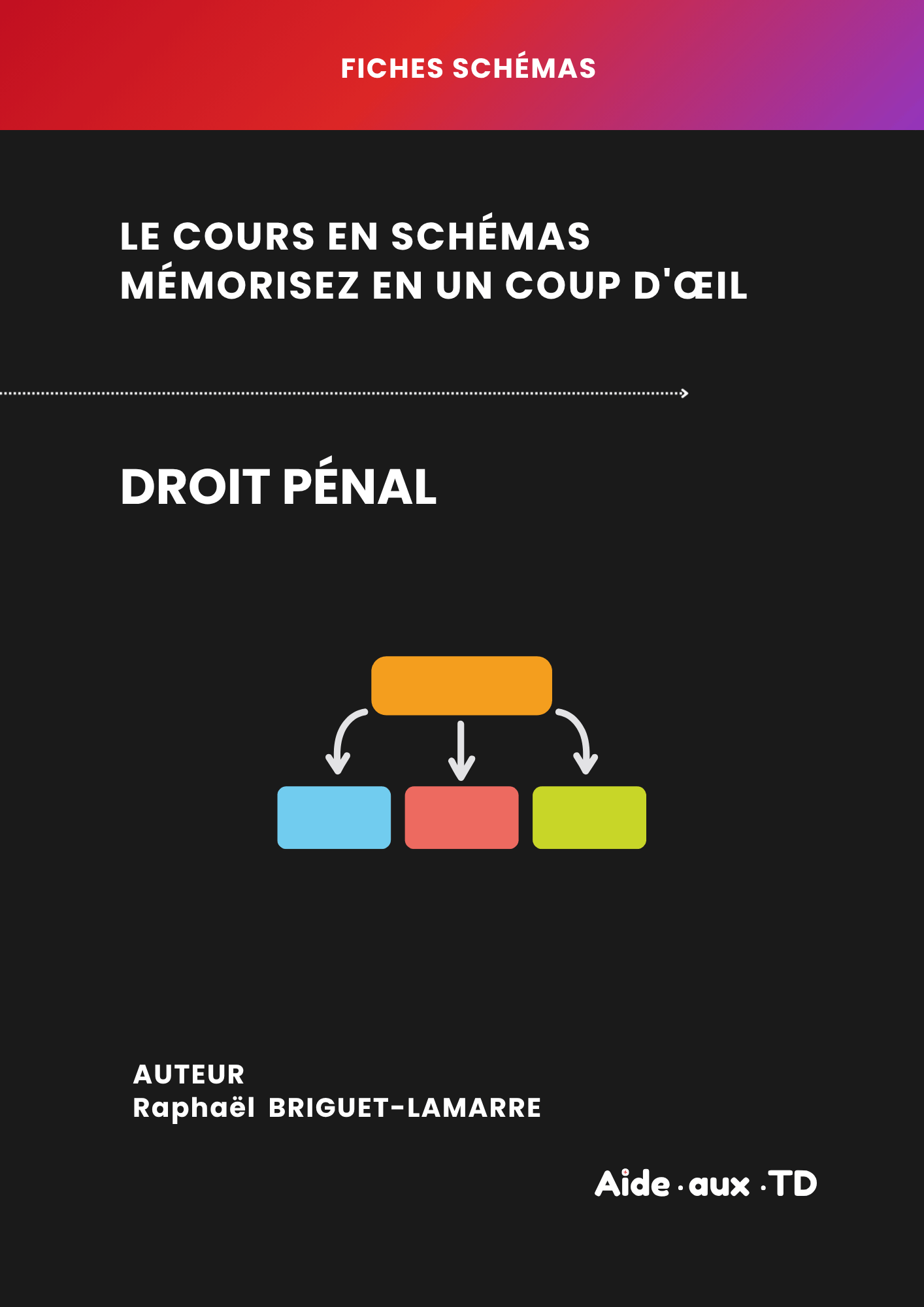 Fiches schémas : Droit pénal général