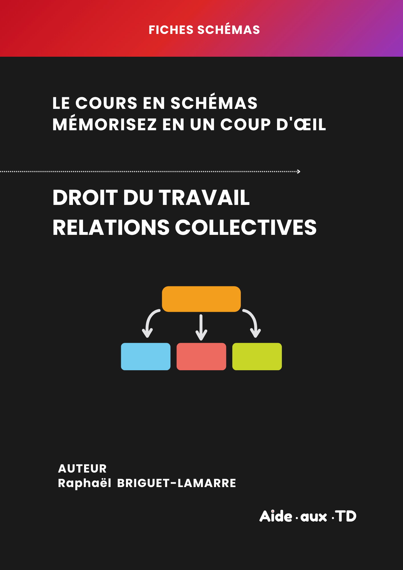 Fiches schémas : Relations collectives de travail