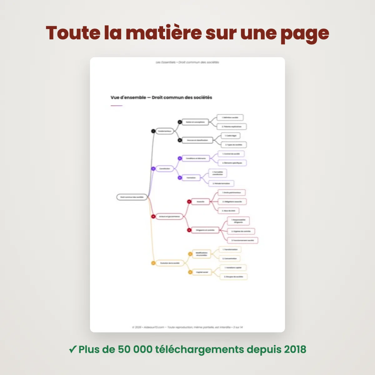 L&rsquo;Essentiel : Droit Commun des Sociétés : Vue d'ensemble