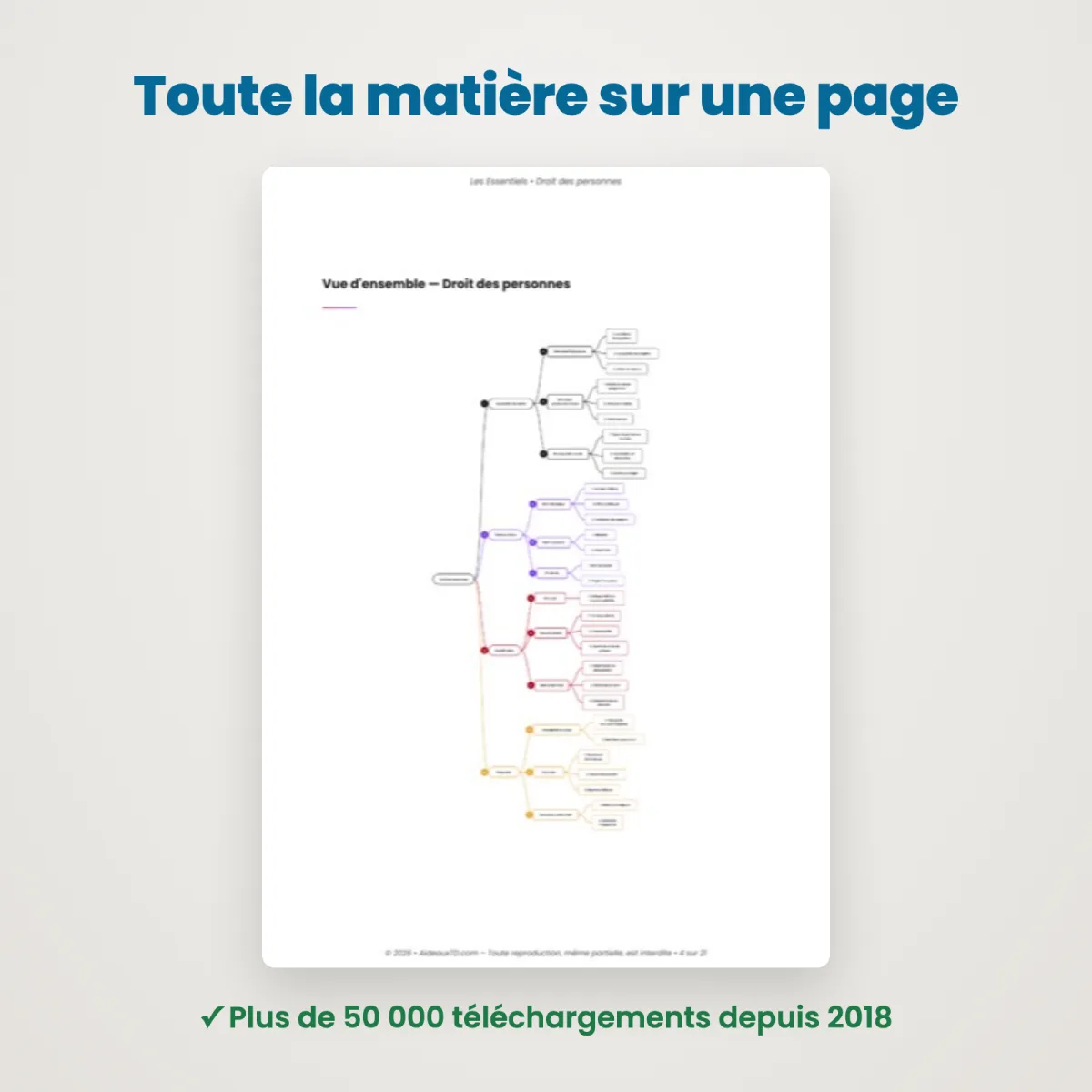 L&rsquo;Essentiel : Droit des Personnes : Vue d'ensemble