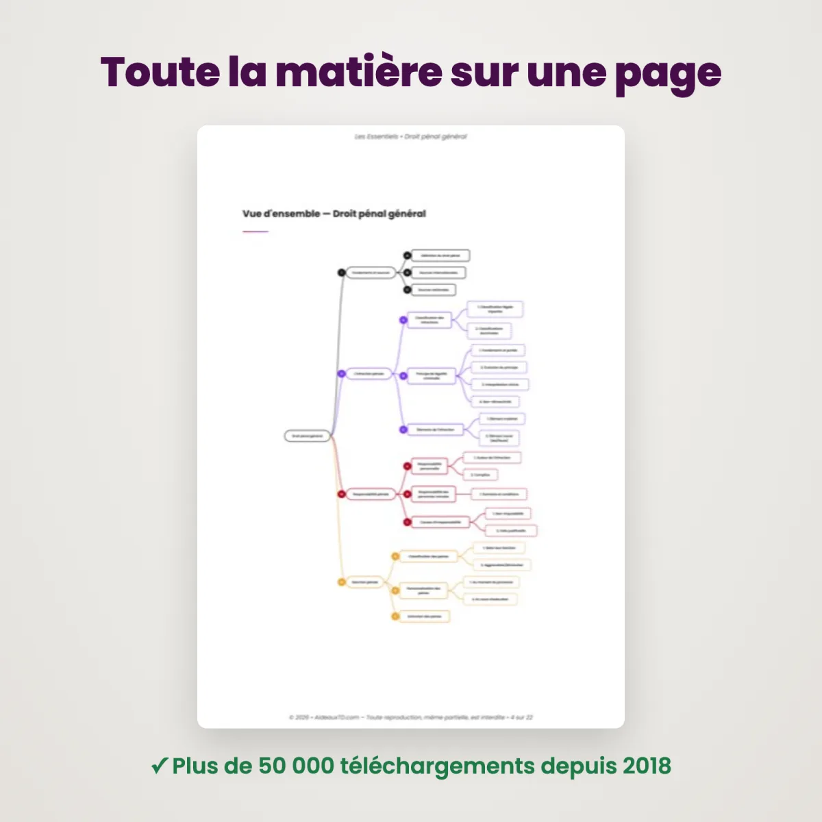 L&rsquo;Essentiel : Droit Pénal Général : Vue d'ensemble