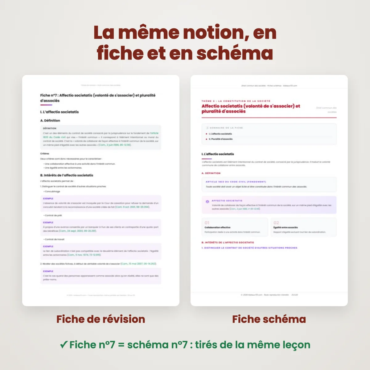 Fiches schémas : Droit commun des sociétés : Fiche et schéma côte à côte