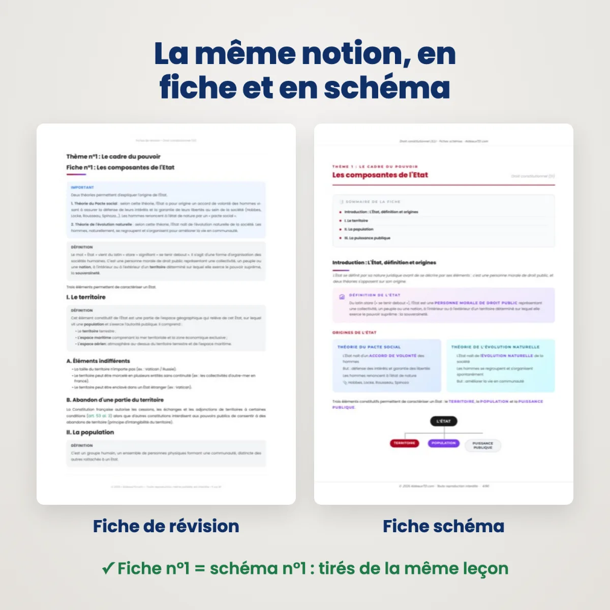 Fiches schémas : Droit constitutionnel (S1) : Fiche et schéma côte à côte