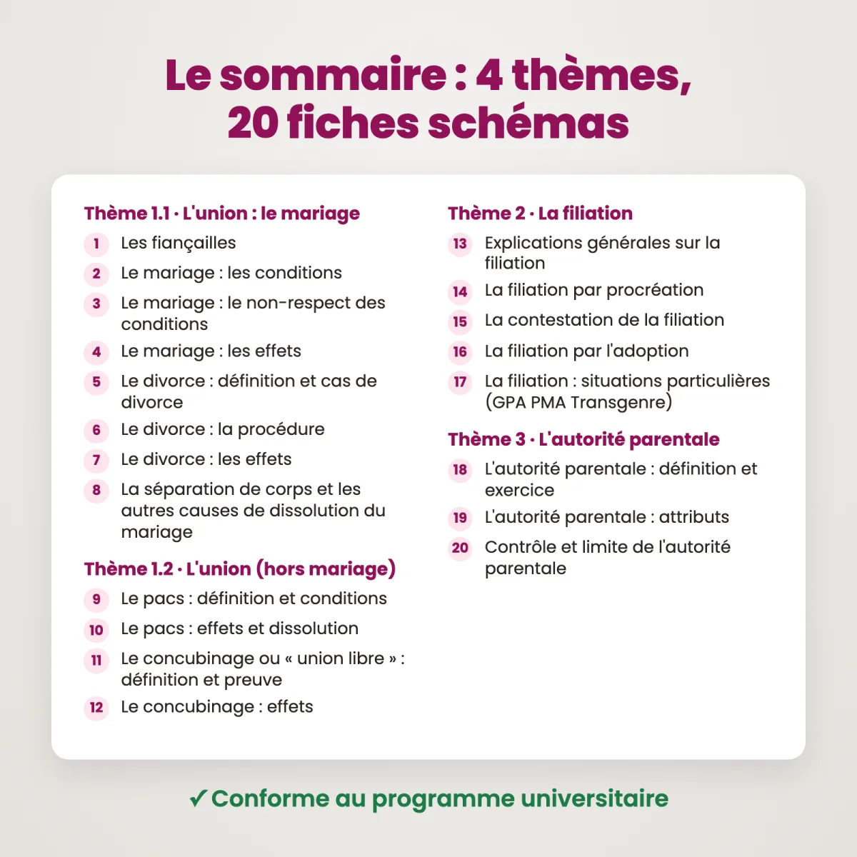 Fiches schémas : Droit de la famille : Sommaire