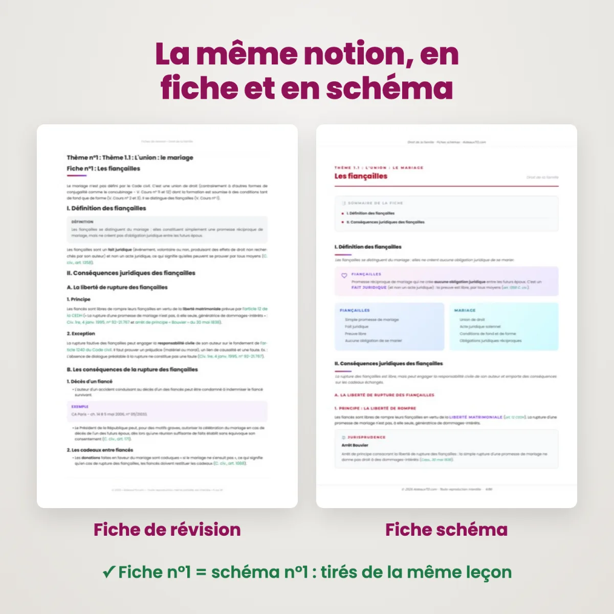 Fiches schémas : Droit de la famille : Fiche et schéma côte à côte