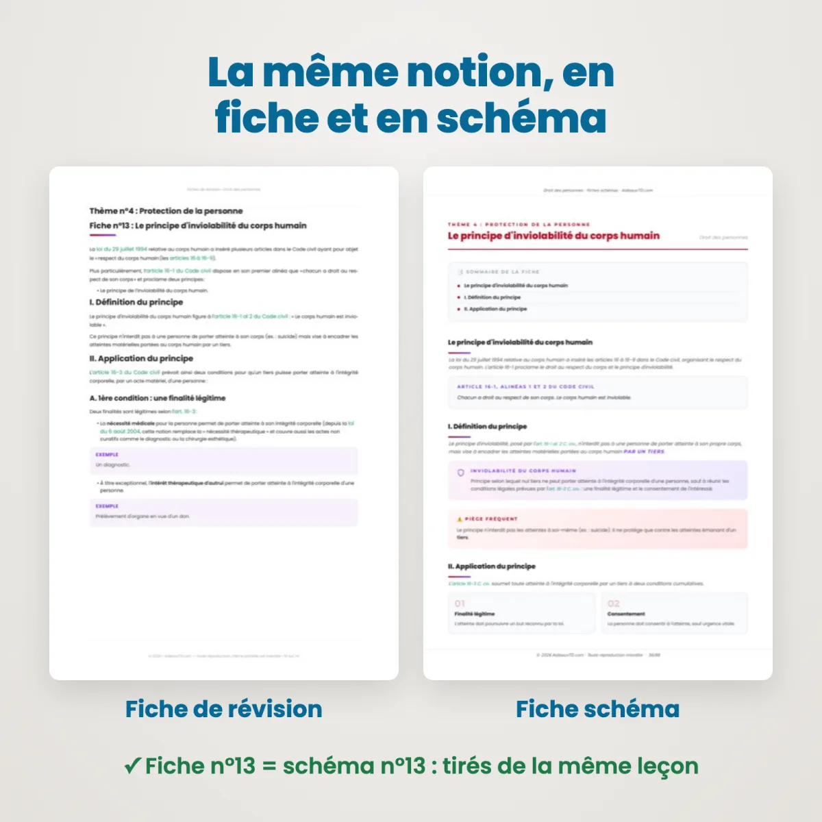 Fiches schémas : Droit des personnes : Fiche et schéma côte à côte