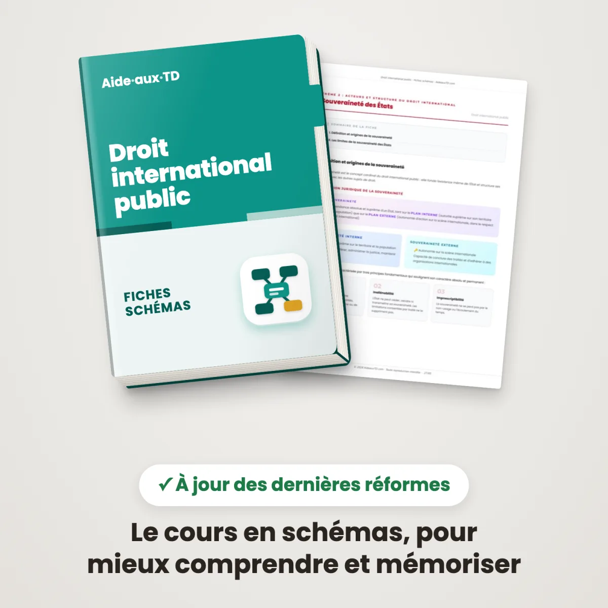 Fiches schémas : Droit international public : Couverture et une page