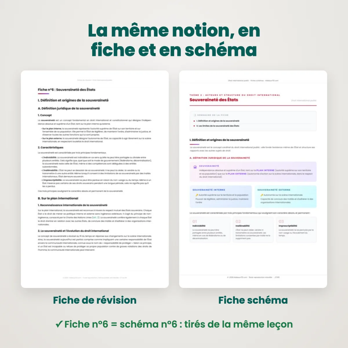 Fiches schémas : Droit international public : Fiche et schéma côte à côte