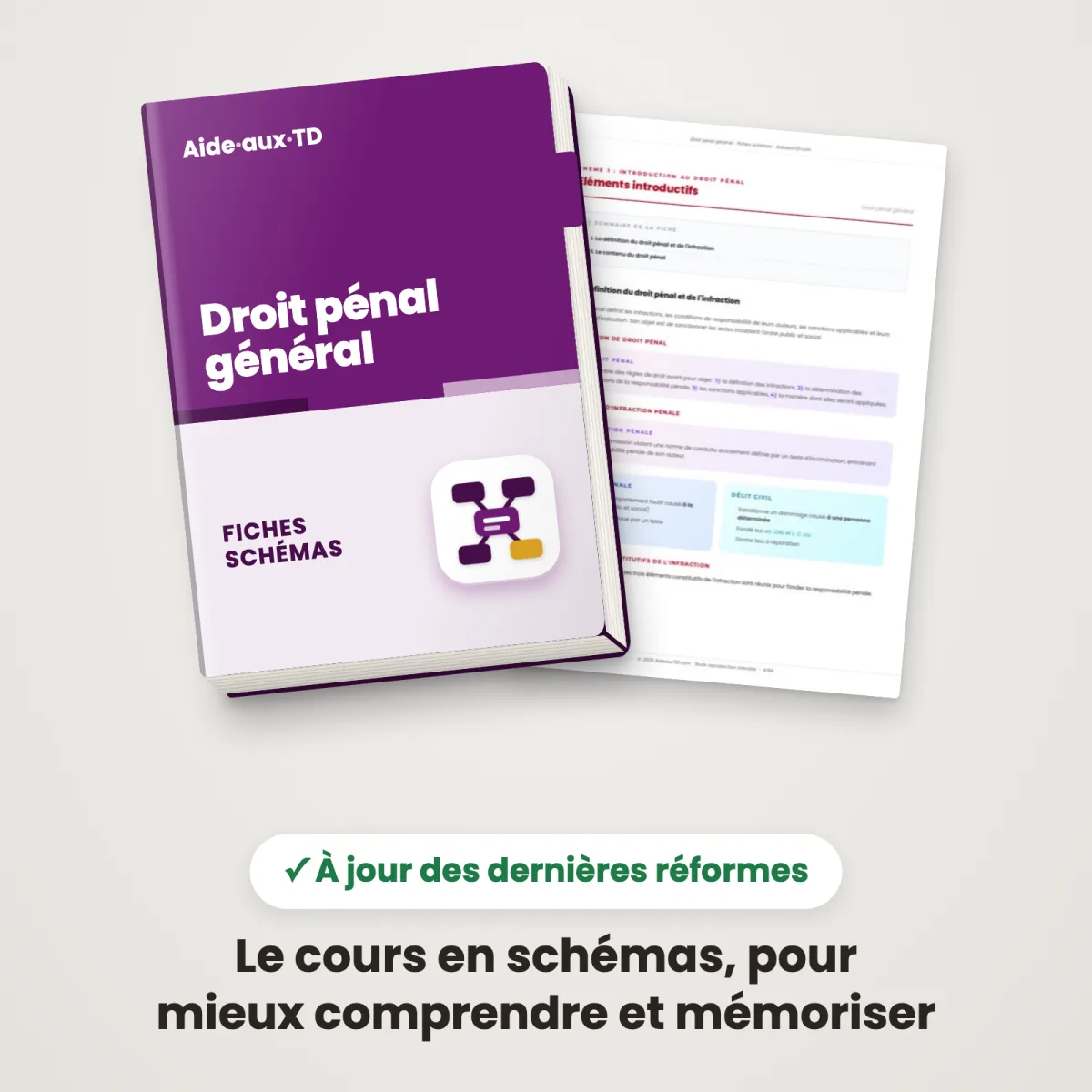 Fiches schémas : Droit pénal général : Couverture et une page