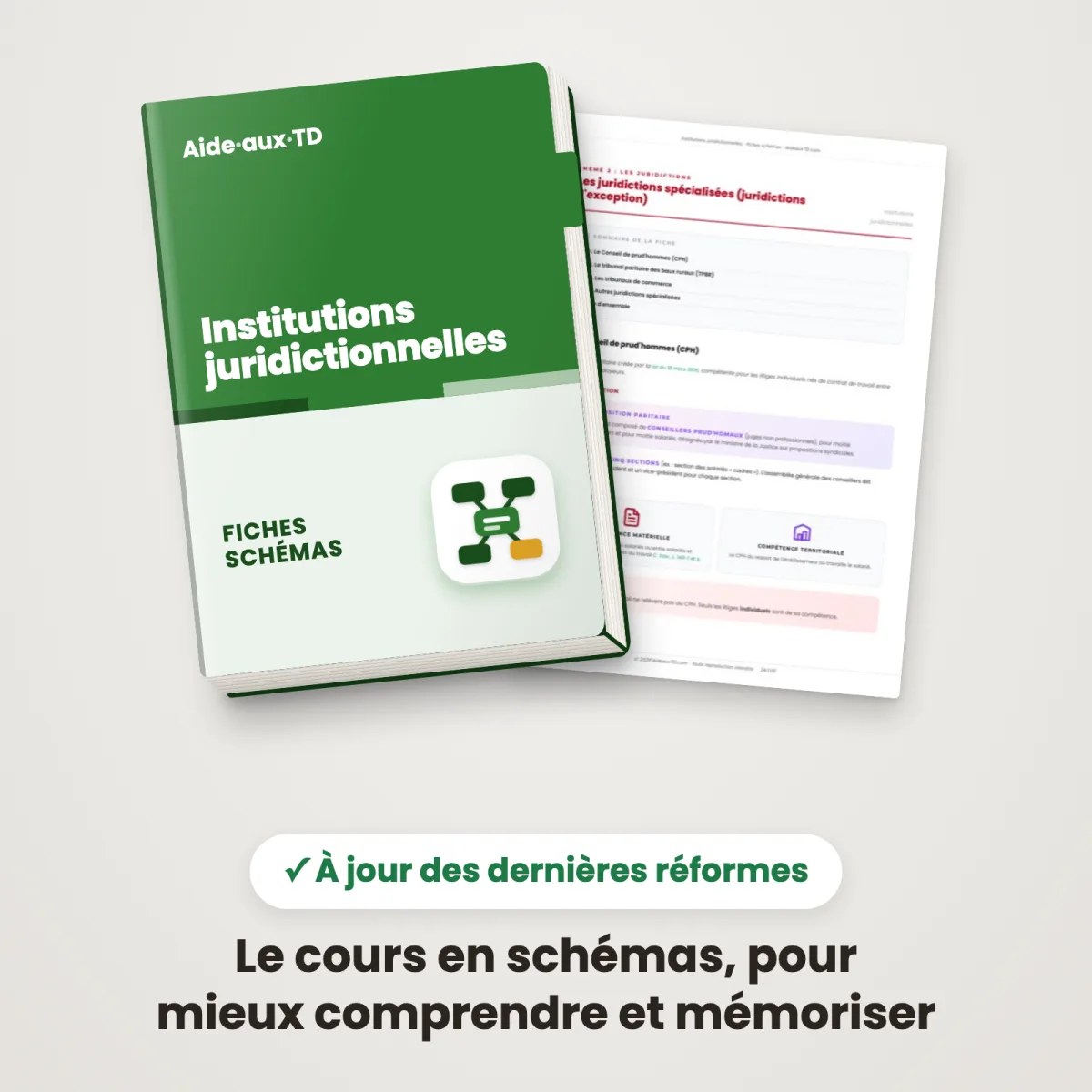 Fiches schémas : Institutions juridictionnelles : Couverture et une page