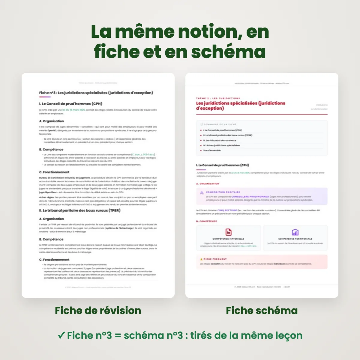 Fiches schémas : Institutions juridictionnelles : Fiche et schéma côte à côte
