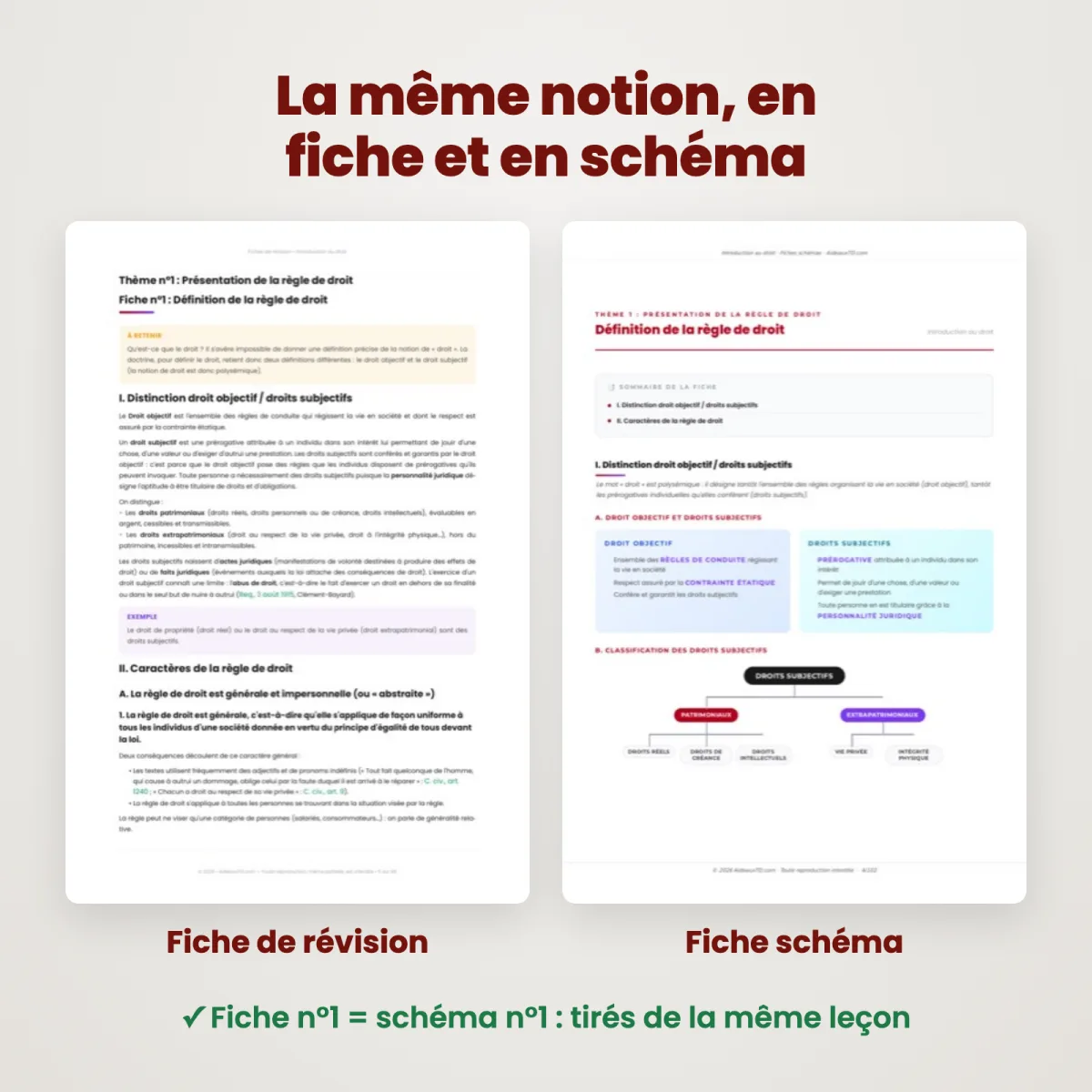 Fiches schémas : Introduction au droit : Fiche et schéma côte à côte