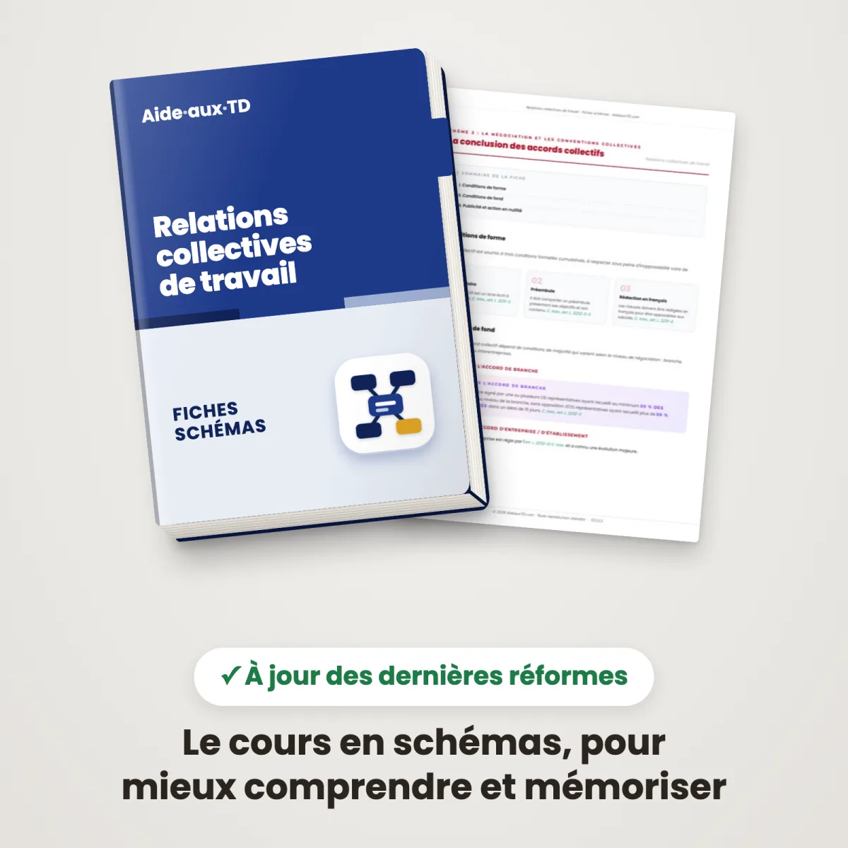 Fiches schémas : Relations collectives de travail : Couverture et une page