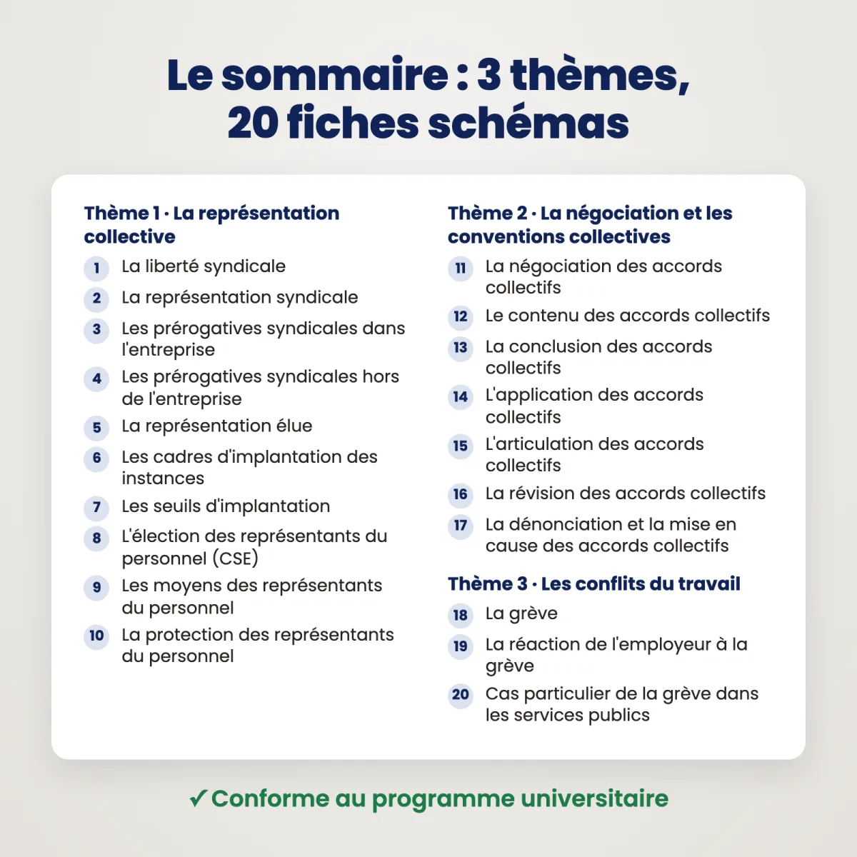Fiches schémas : Relations collectives de travail : Sommaire