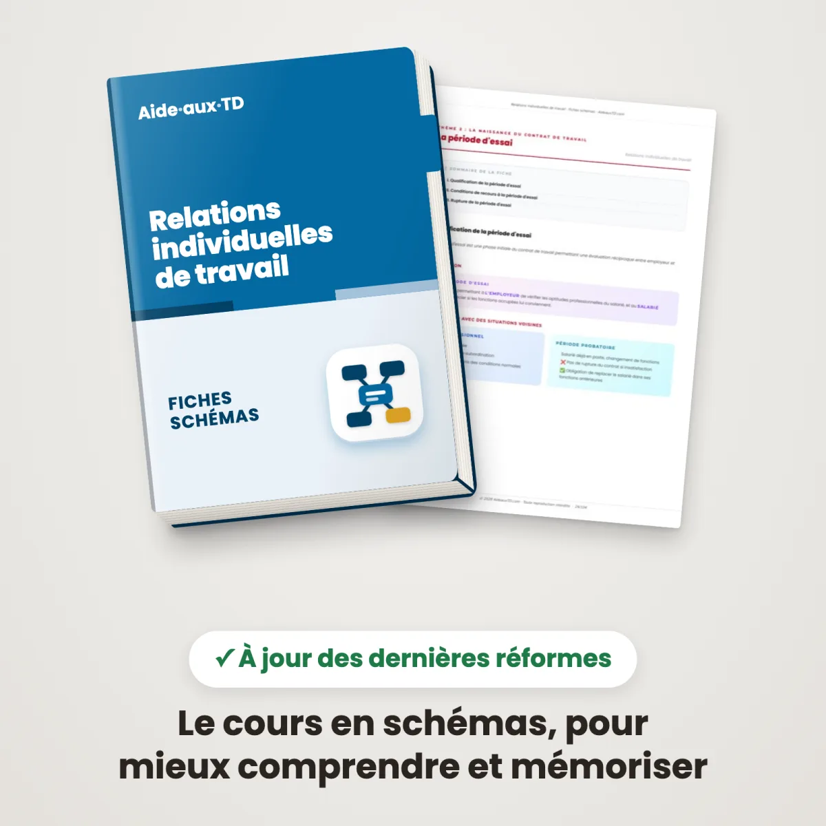 Fiches schémas : Relations individuelles de travail : Couverture et une page