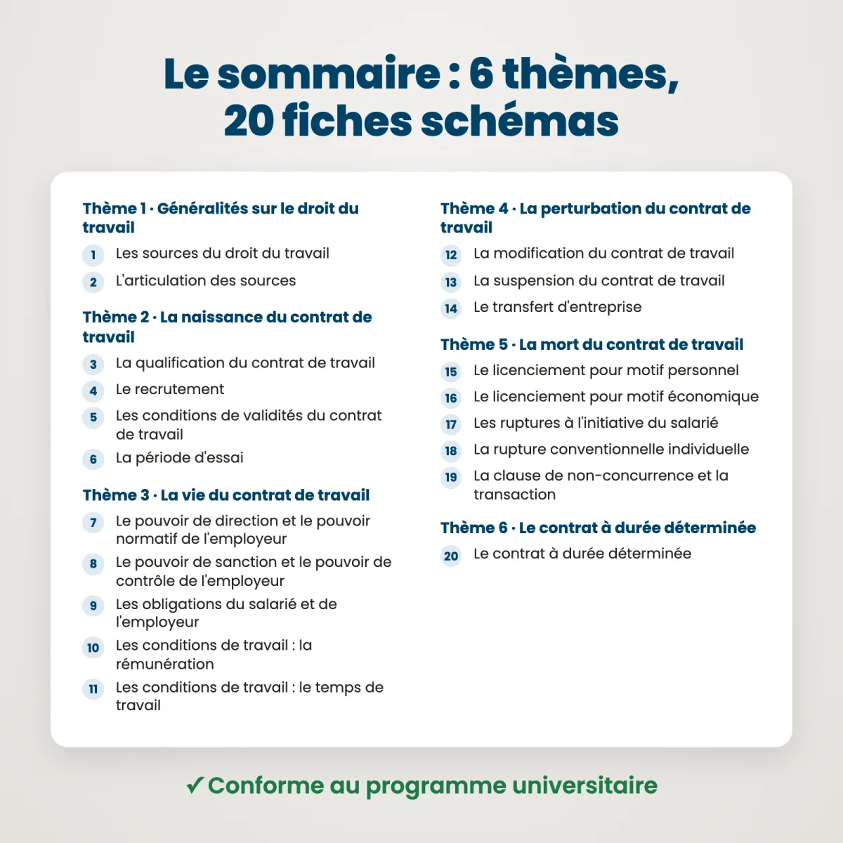 Fiches schémas : Relations individuelles de travail : Sommaire