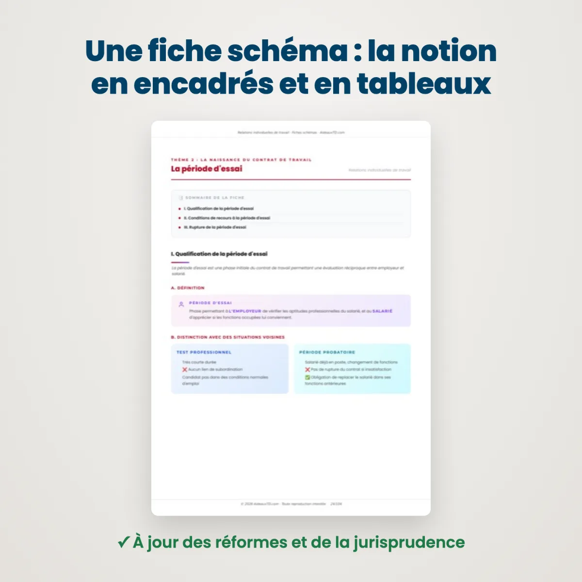 Fiches schémas : Relations individuelles de travail : Extrait